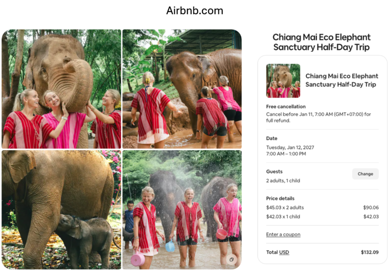 airbnb elephant tour